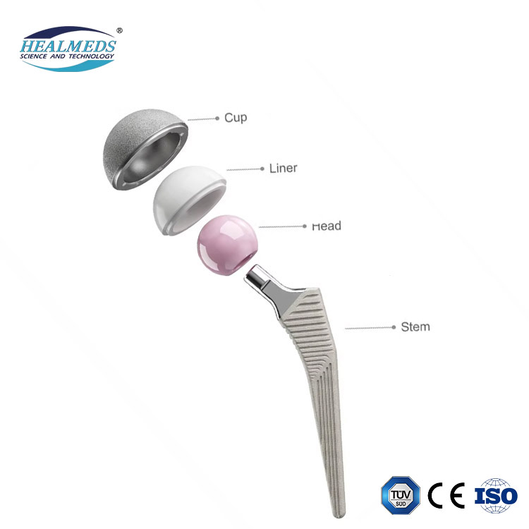 Competitive Hip Prosthesis Prices Veterinary and Human Titanium Bipolar Thompson Hip Prosthesis with Surgical Instruments Trade