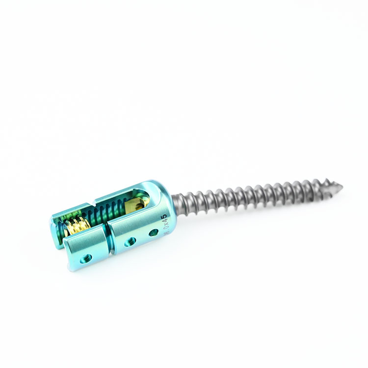Spine Implant Transpedicular Fixation System Screws Neurosurgery Lumber Pedical Screws