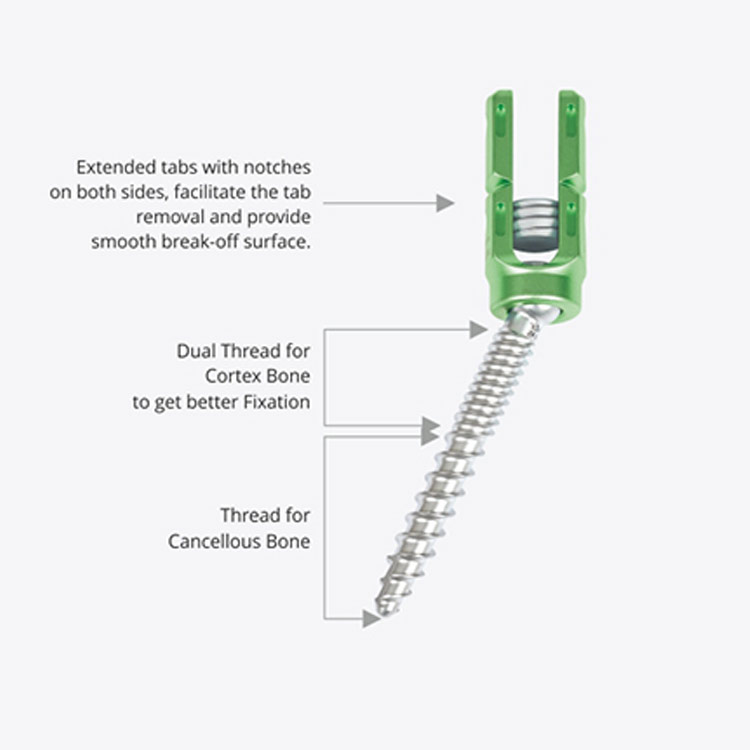 Veterinary Orthopedic Pedicle Screw System for Animal Spine Surgery Tornillo Pedicular Veterinaria Sterile Bone Fixation Kit