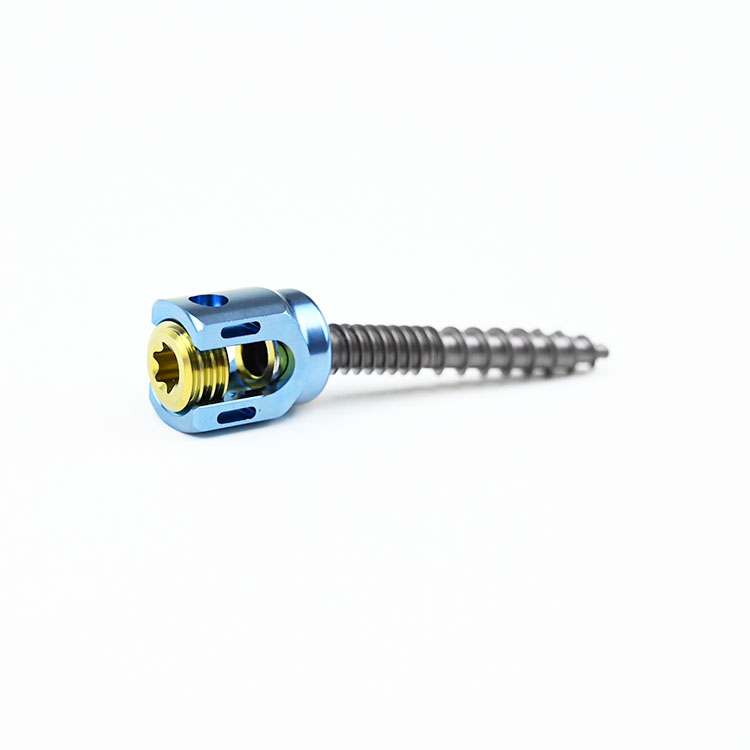 Factory Manufacture Implants for Bone Surgery 6.0 Spinal Pedicle Screw Instrument Set Veterinary Model for Operation