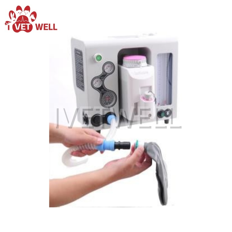 Compact Veterinary Anesthesia System for Efficient Animal Procedures