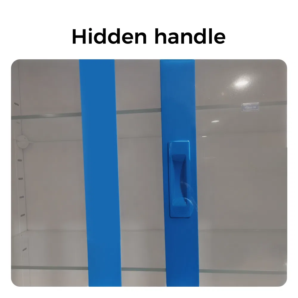 Antibacterial Medical Cabinet Featuring Custom Colors Large Capacity Movable Shelves for Hospital