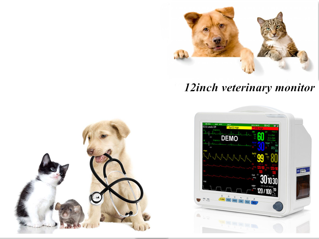 12 Inch Multi-Parameter Veterinary Monitor Vital Signs Monitor for Pets Clinics and Vet Hosptials HEV-9000N