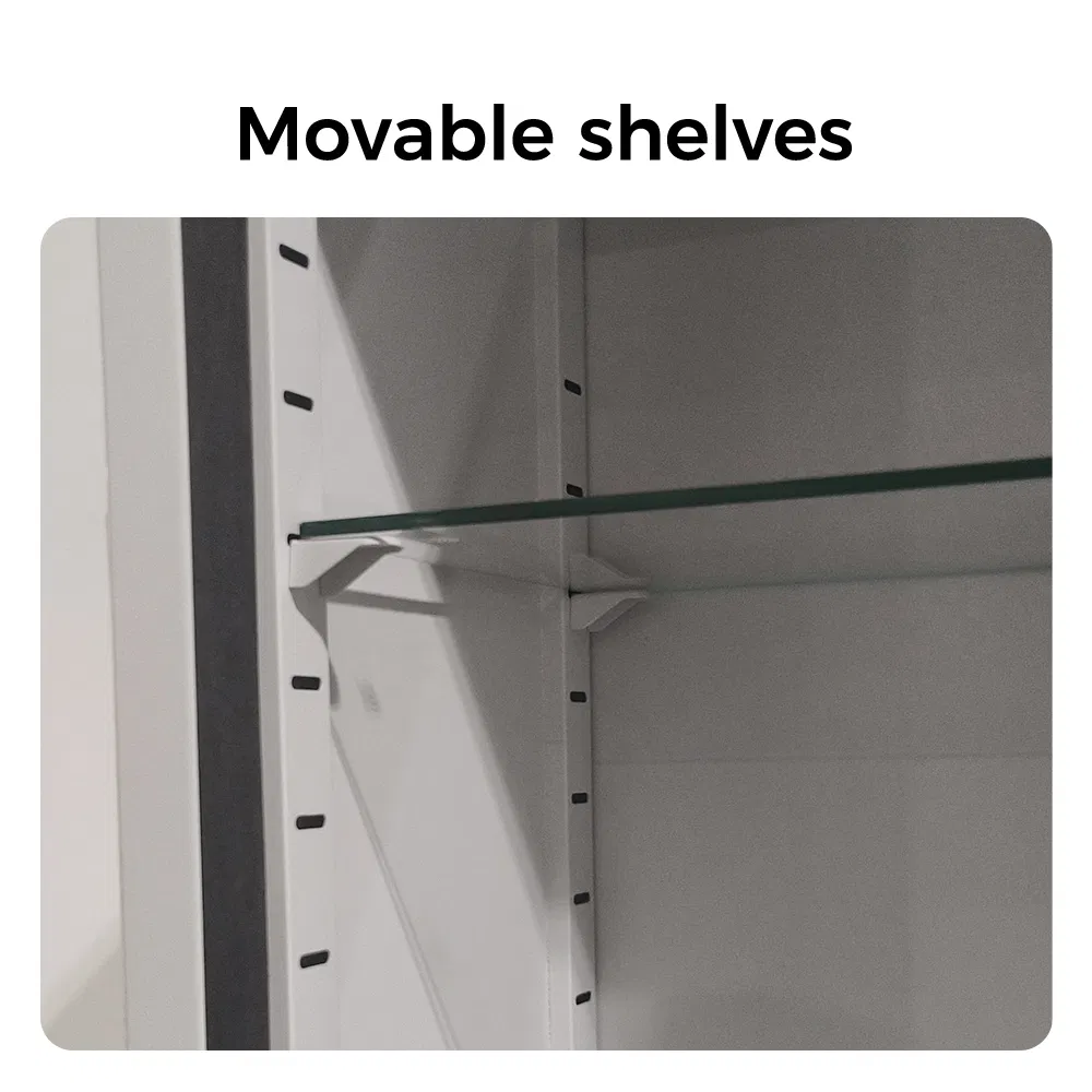 Antibacterial Medical Cabinet Featuring Custom Colors Large Capacity Movable Shelves for Hospital