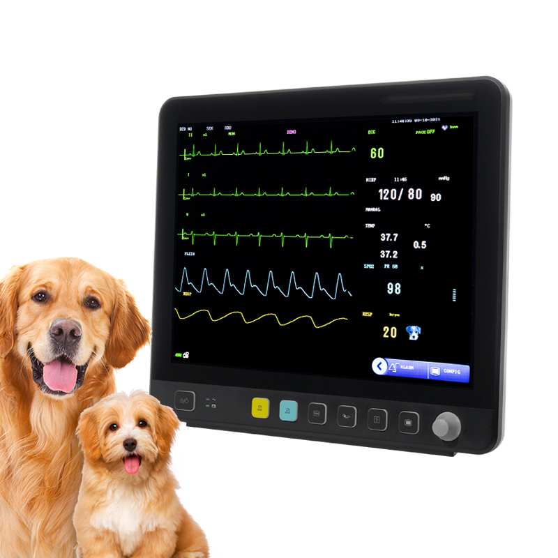 15 Inch Screen Veterinary Monitor Vet Analyze Device Vet Monitor Vital Signs Monitor 6 Parameters