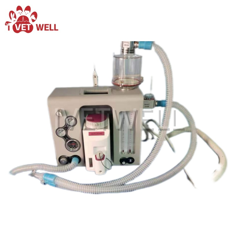 Compact Veterinary Anesthesia System for Efficient Animal Procedures