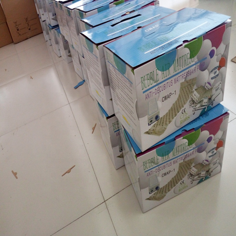 Cwap-1 Hospital Air Pressure Alternating Anti-Decubitus Bed Mattress for Sale with Electric Air Pump110V/220V Euro/British/Us Plug