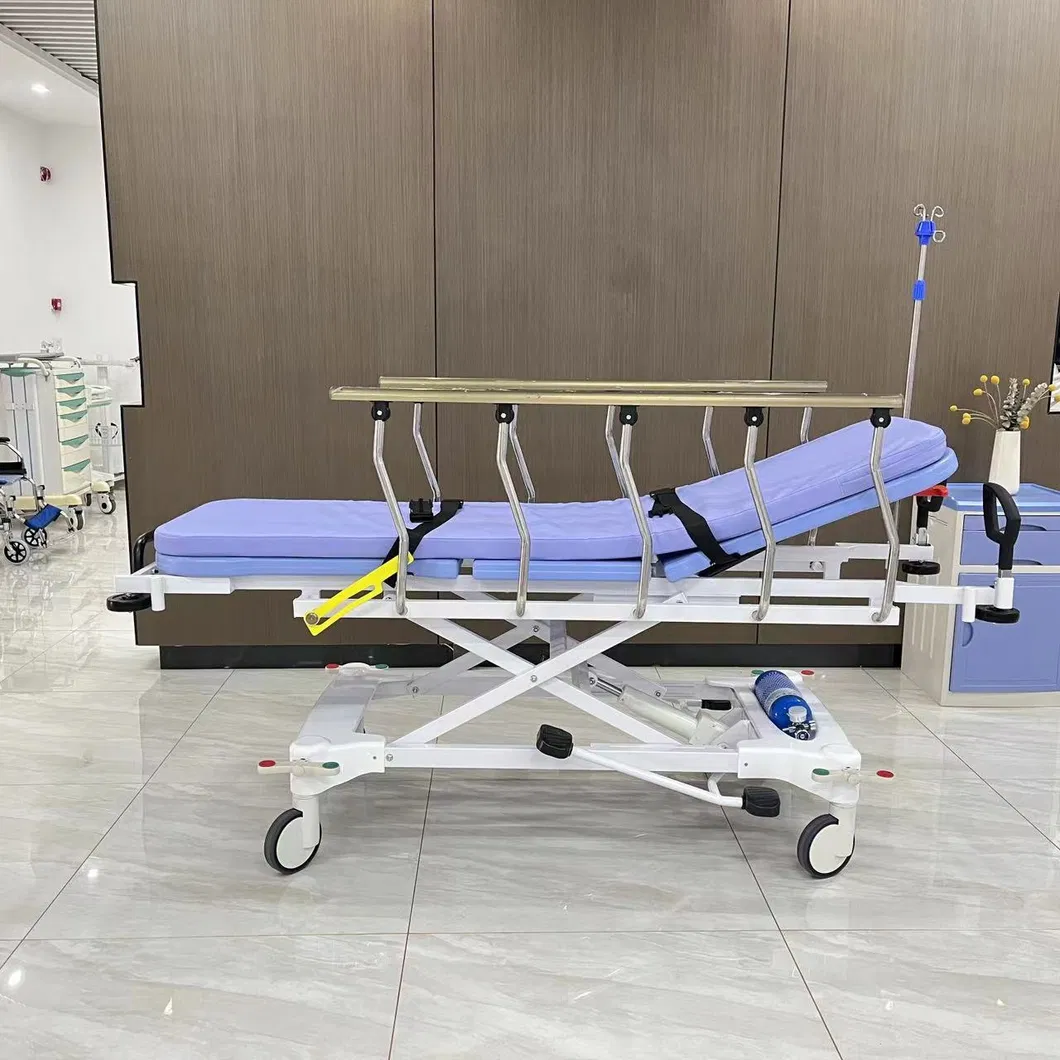 Stretcher Trolley View 1