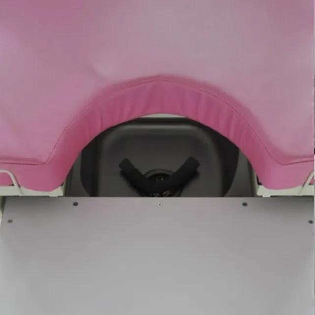 Maternity Bed View 4