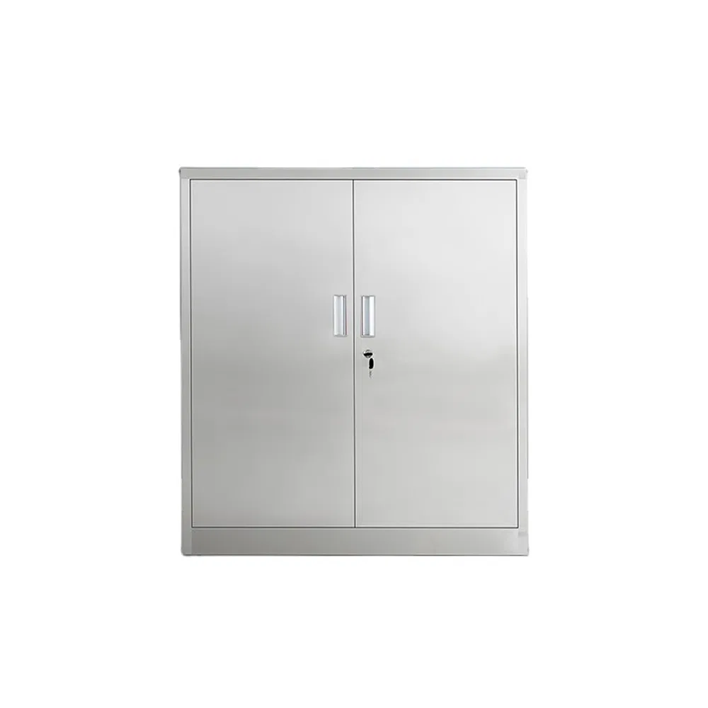 Professional Stainless Steel Ral Color Medicine Medical Storage Cabinets for Hospital Pharmacy