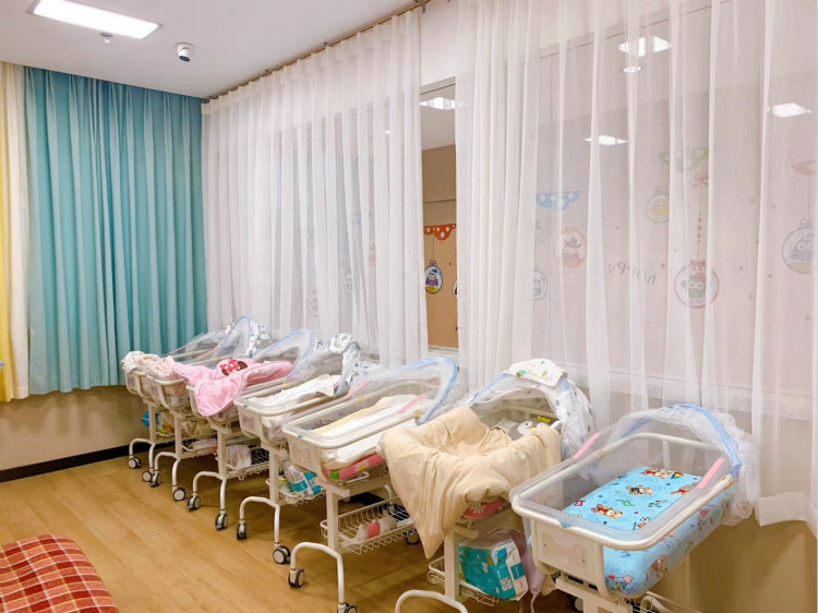 Medical Supply Beautiful Infant Newborn Birthing Baby Crib Cot Hospital Bed with Transparent Basin