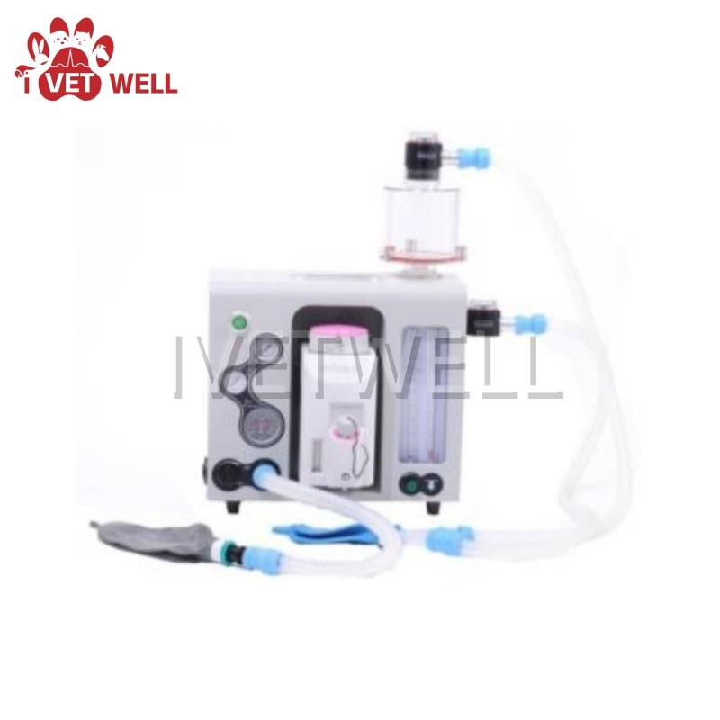 Compact Veterinary Anesthesia System for Efficient Animal Procedures