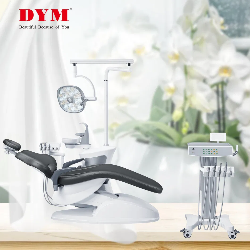 Dental Chair Feature 1