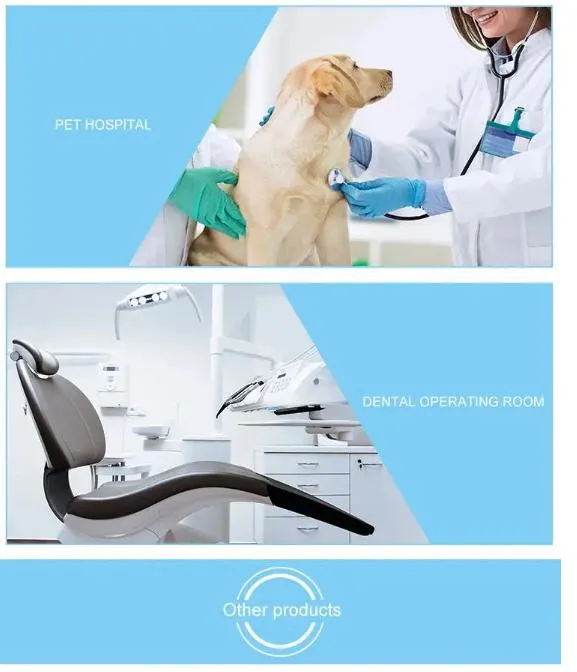 Examination Lamp Detail 11