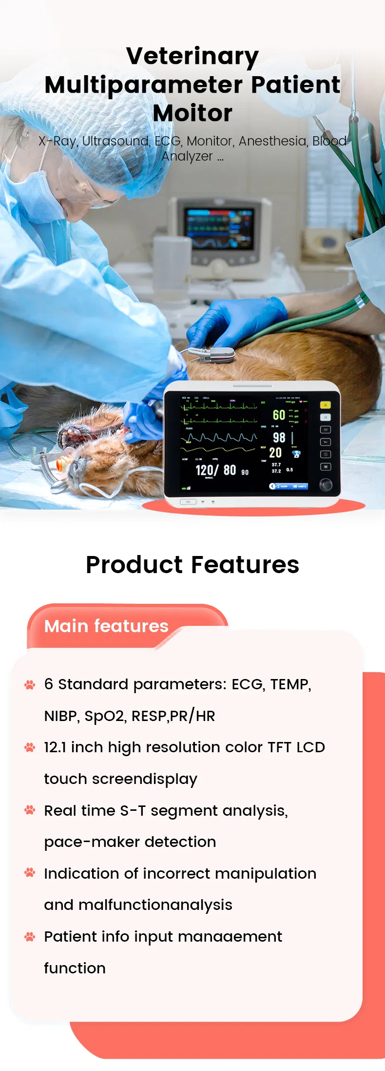 Multiparameter Patient Monitor Features