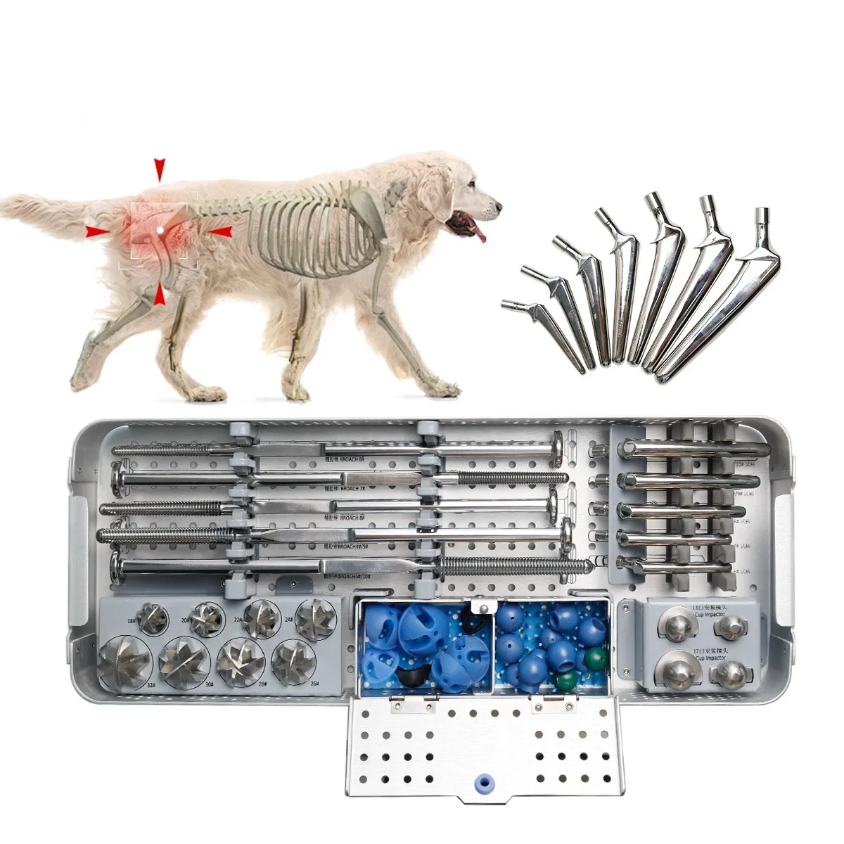 Orthopedic Veterinary Joint Replacement Set 4#-10# Total Hip Prosthesis Surgical Instrumenet Set