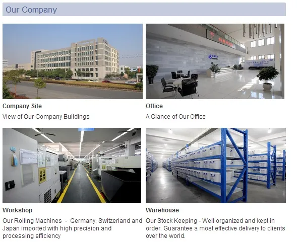 Orthopedic Surgical Screw Details