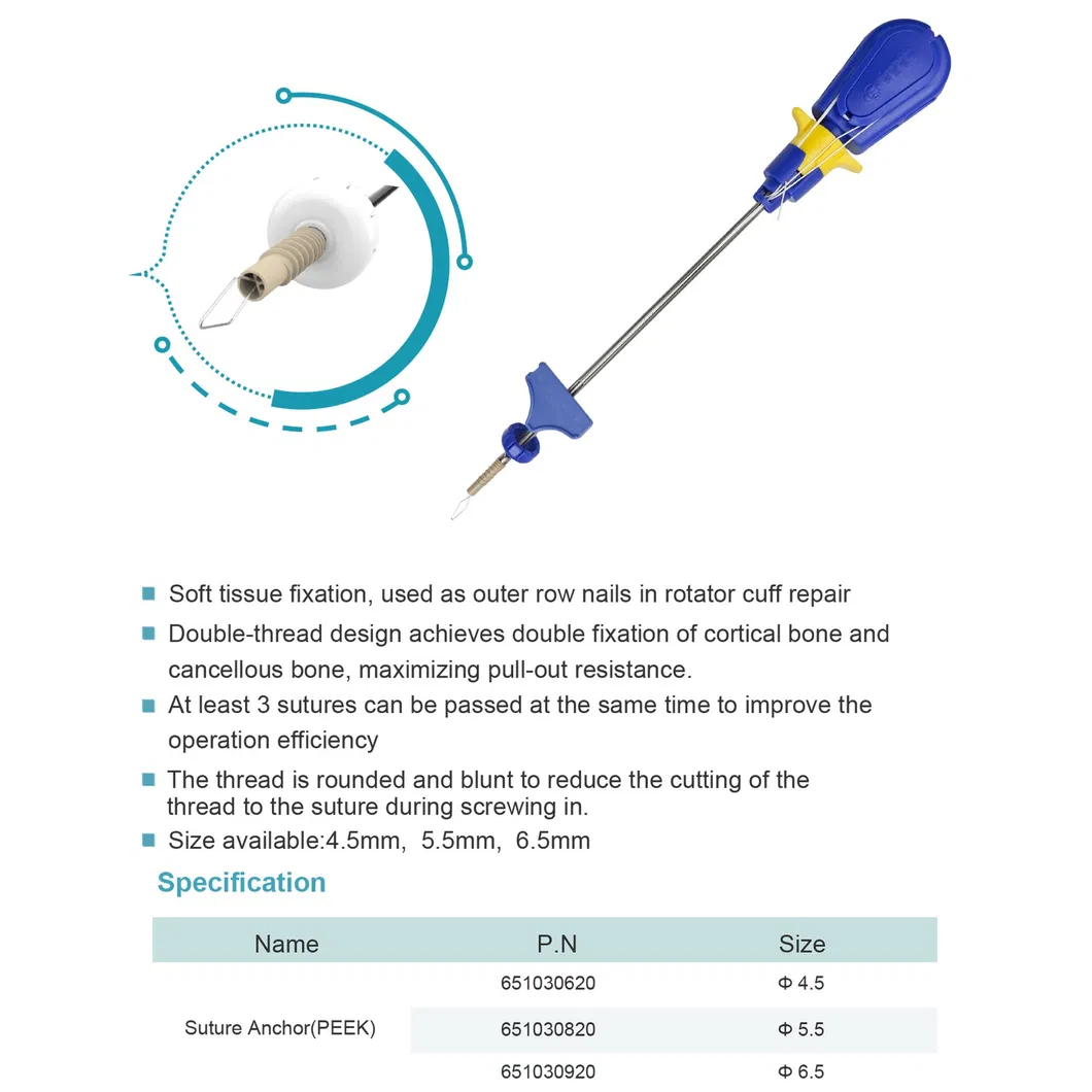 Detailed Product View 3