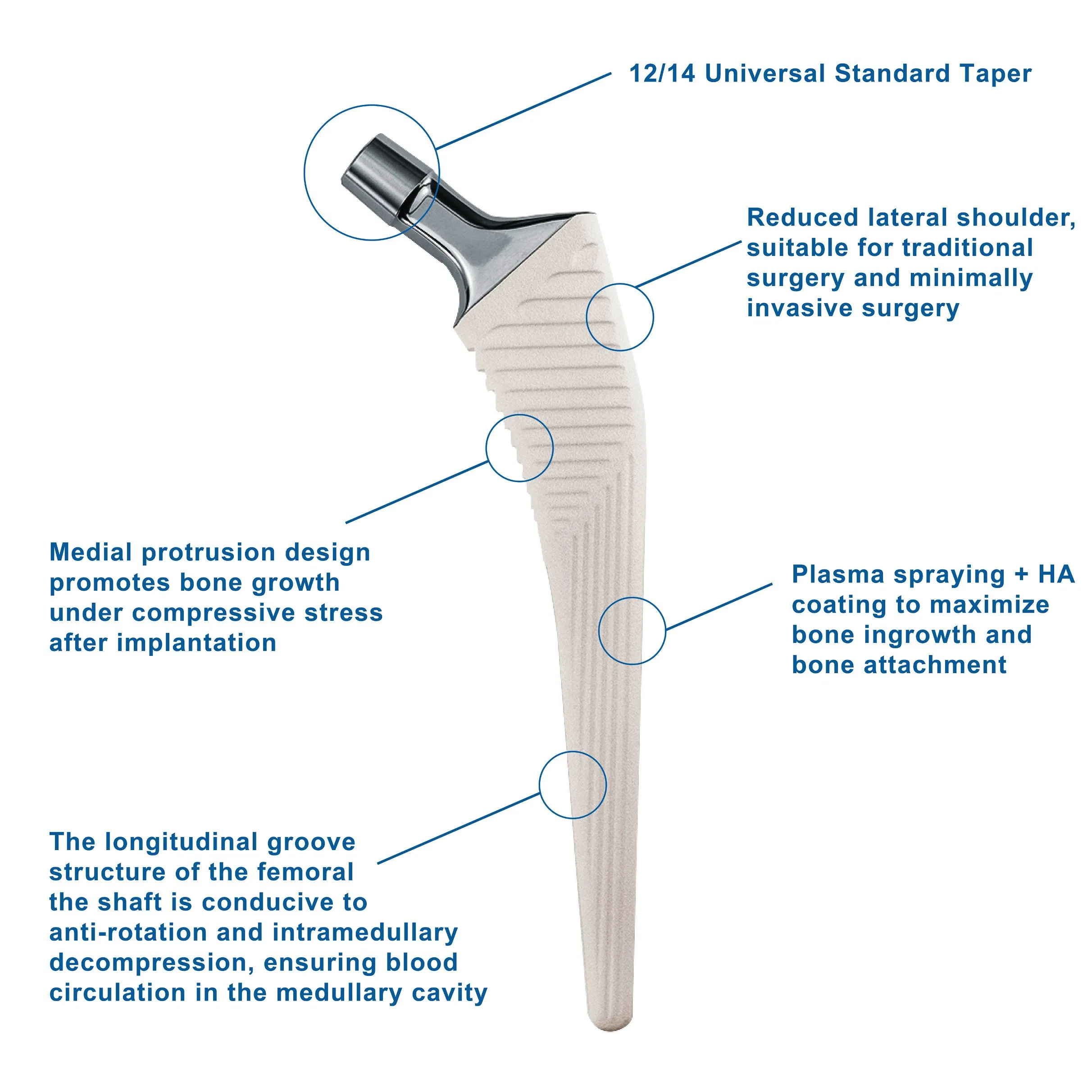 Canwell Primary Ceramic Liner Revision Liner Exchange Total Hip Arthroplasty Prosthesis Joint Replacement CE