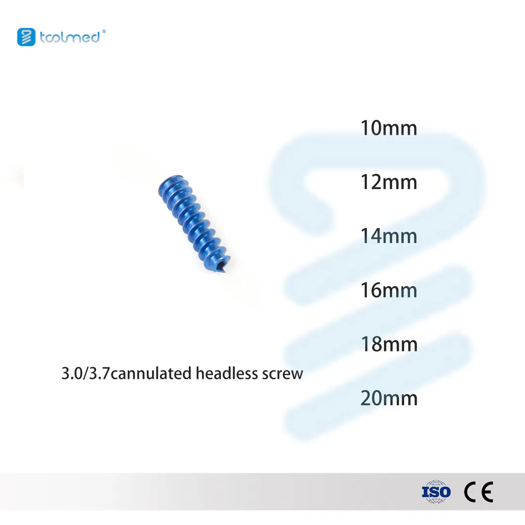 Cannulated Screw Detail 1