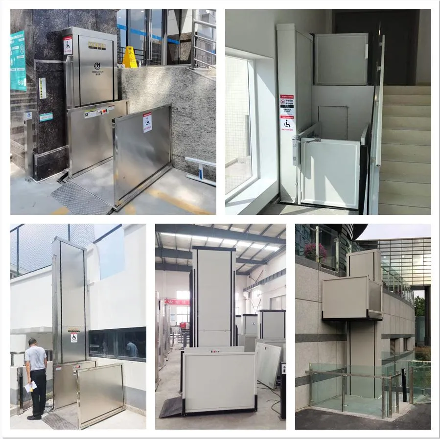 Vertical Handicap Platform Lift