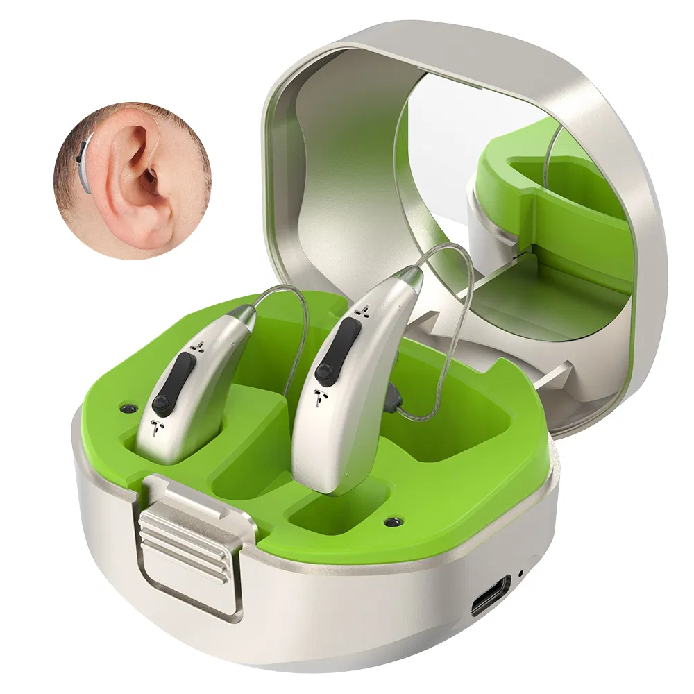 Free Sample China Manufacturer Ric Bte Ear Aids Invisible Tube Digital Rechargeable Hearing Aid