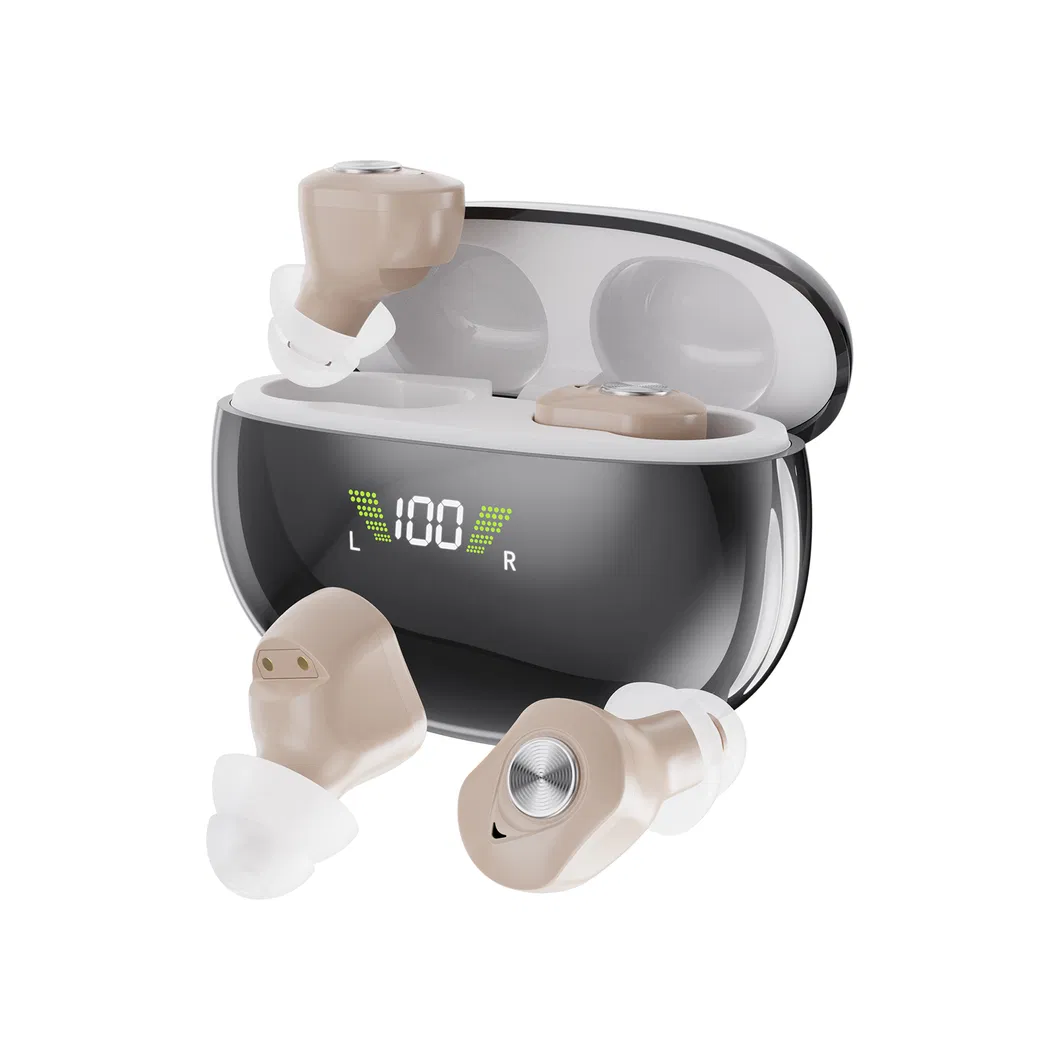 Hearing Aid Detail 1