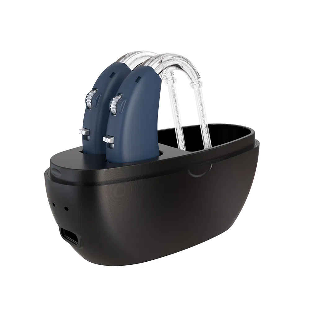 Bluetooth Bte Digital Hearing Aids for The Deaf Rechargeable