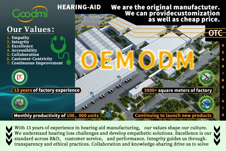 Digital Hearing Aid View 1