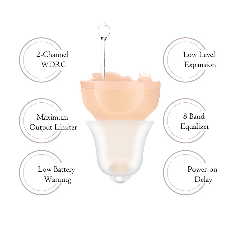 Hearing Aid Detail 3