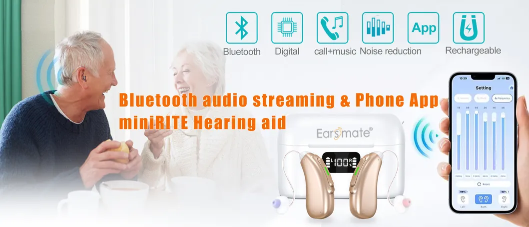 Digital Hearing Aid Overview