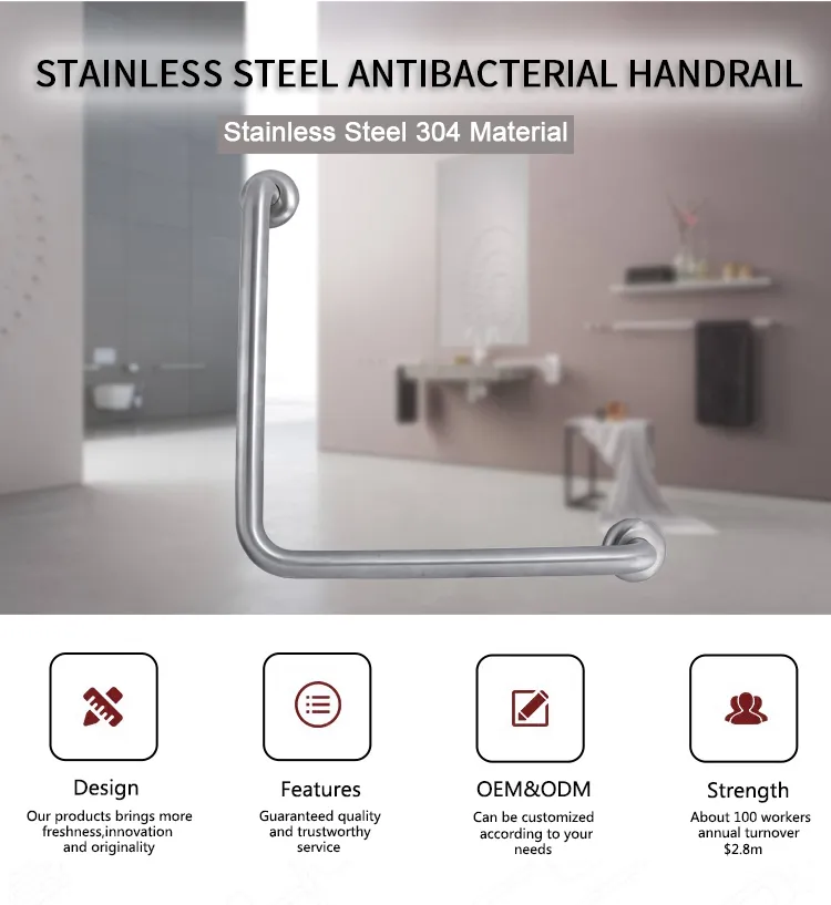 Stainless Steel Grab Rail 2
