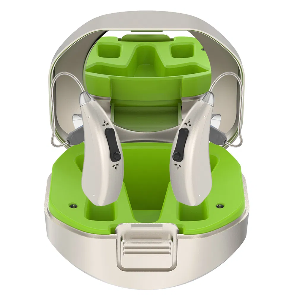 Free Sample China Manufacturer Ric Bte Ear Aids Invisible Tube Digital Rechargeable Hearing Aid