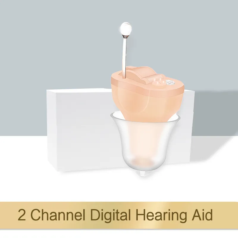 Digital Hearing Aid
