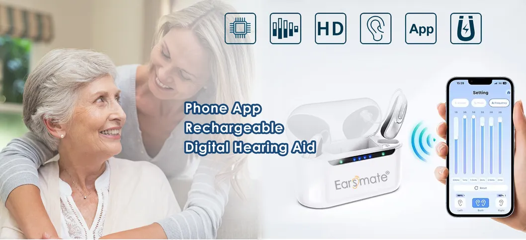 Digital Hearing Aid Overview