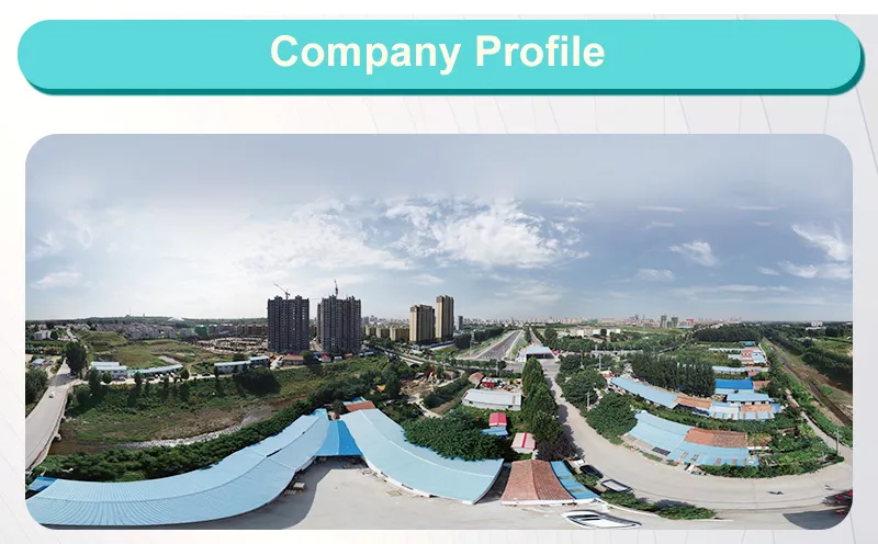 Company Overview