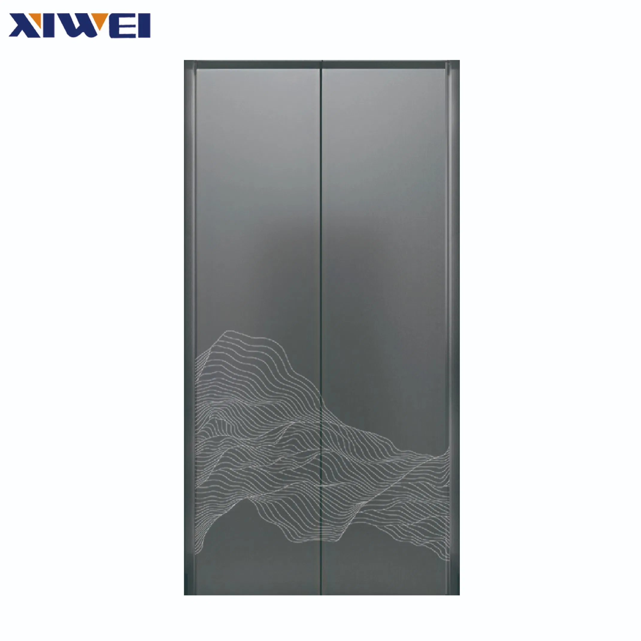 Elegant Stainless Steel Door Panel Shipping Stair Lift Elevator