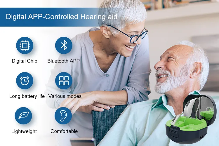 Digital Hearing Aid Overview