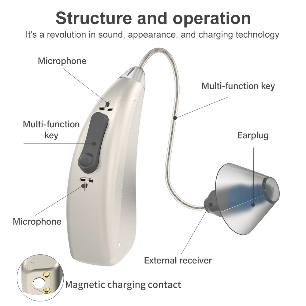 Free Sample China Manufacturer Ric Bte Ear Aids Invisible Tube Digital Rechargeable Hearing Aid