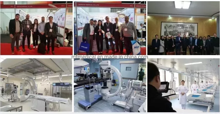 Professional Exhibition