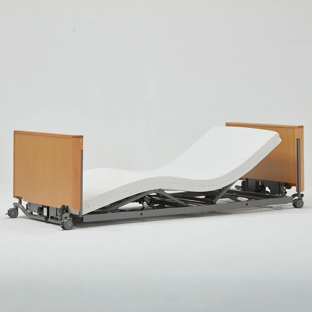 Tecforcare 67mm-640mm Height Adjustable Electric Bed for The Elederly Wood Home Care Bed Medical Bed for Home Care