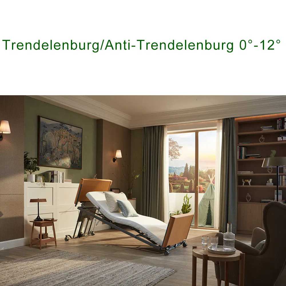 Tecforcare Electric Medical Bed Mattress Nursing Home Care Bed for The Elderly Care Hospital Bed Height Adjustable