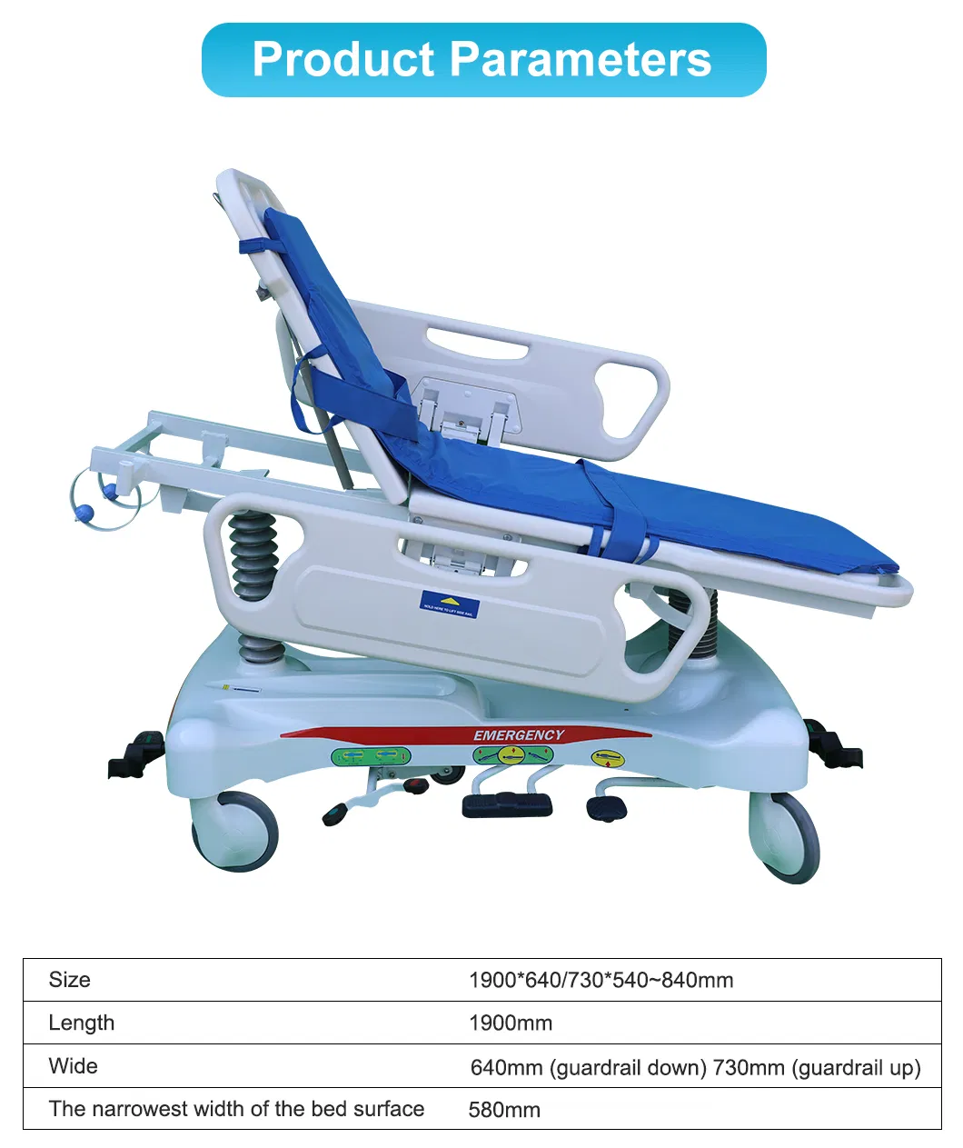 Emergency Bed Details