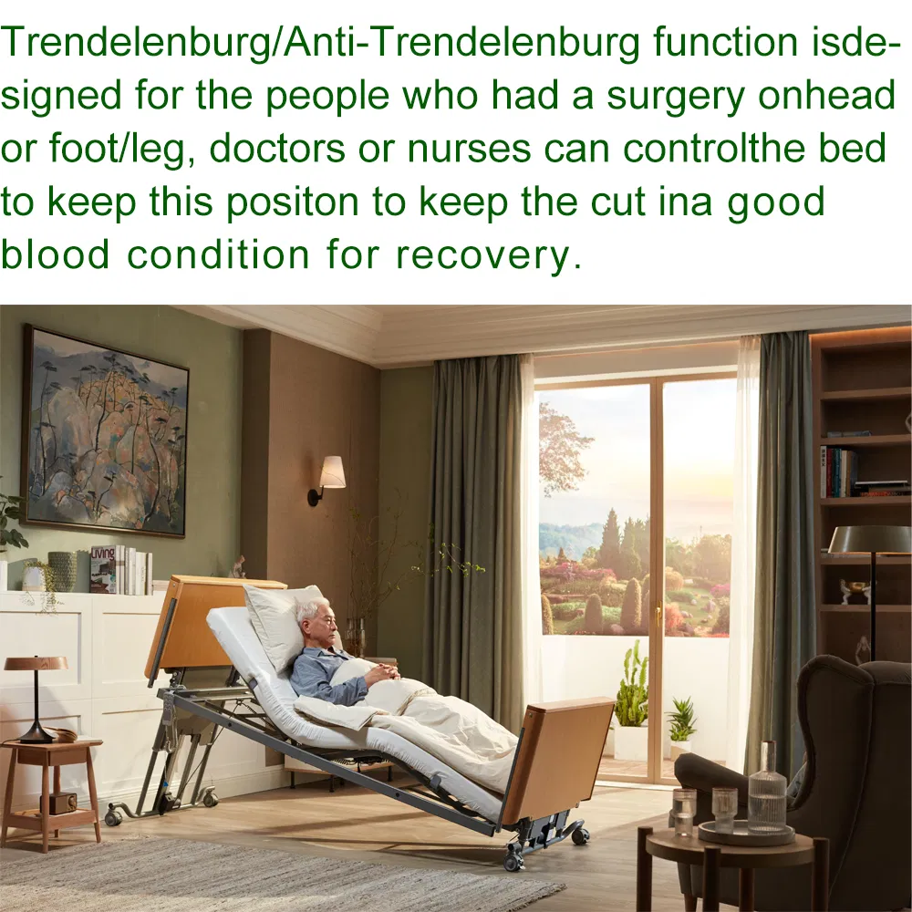 Tecforcare 5 Function Medical Bed for Home Care Backrest Footrest Foldable Electric Elderly Bed for Hospital Furniture