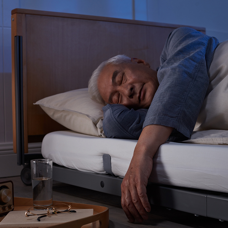 Premium Multi-Function Electric Home Care Bed with Limoss Motor