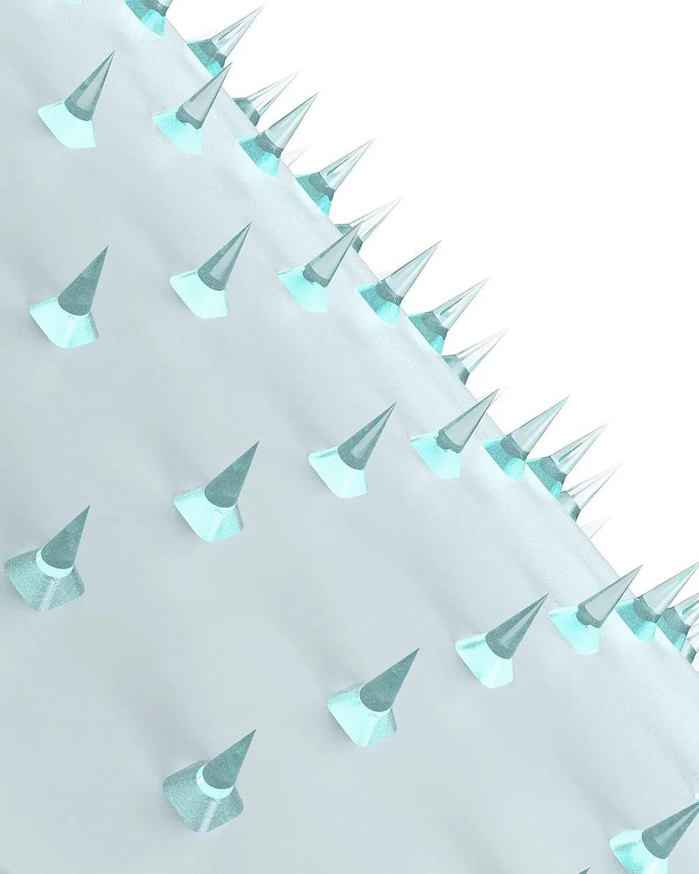 Microneedle Patch Detail