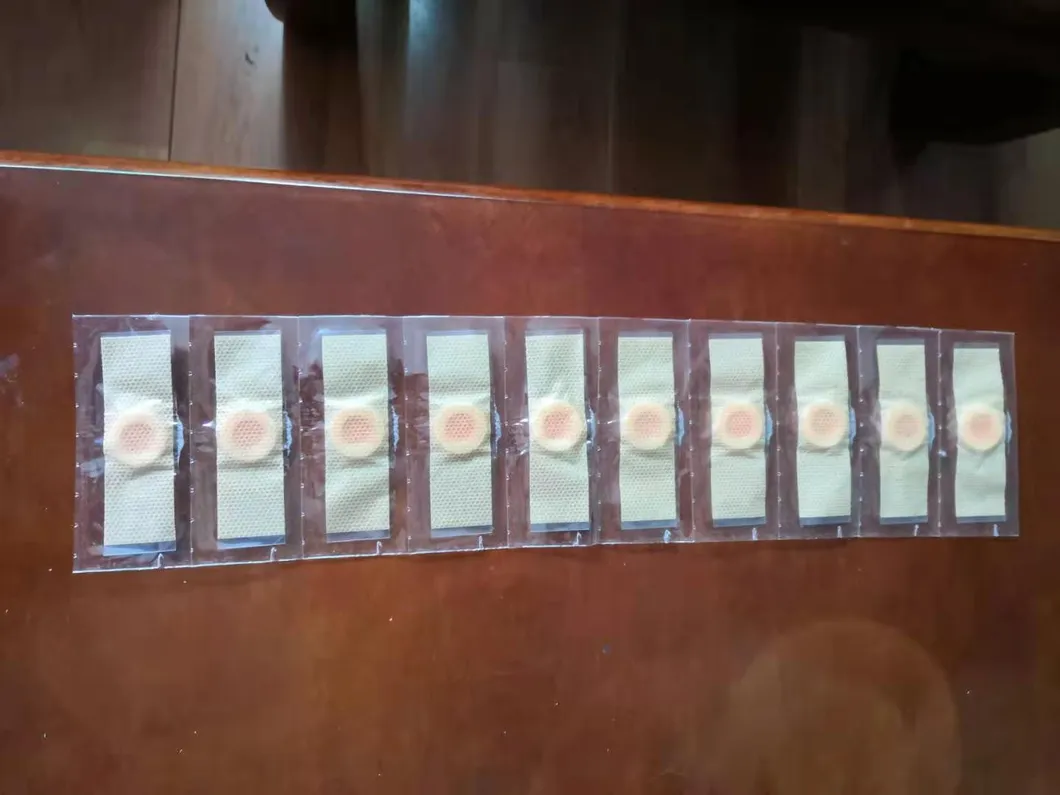 Corn Plaster Packaging