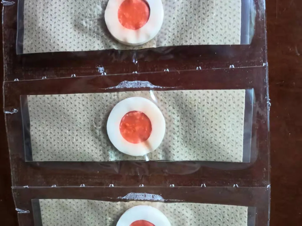 Medical Foot Care Corn Plaster Detail