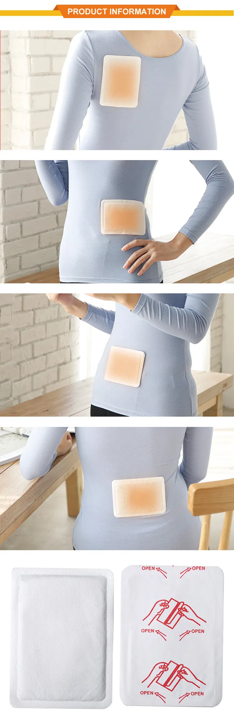 Detailed Features Infographic