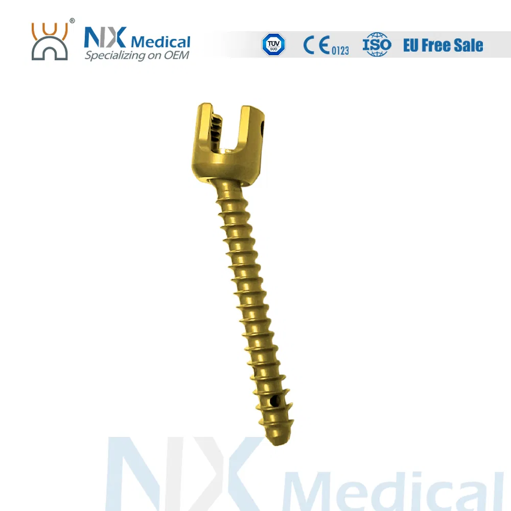 Nx Medical Orthopedic Implant Cannulated Bone Cement Spinal Pedicle Screw 6.0mm System